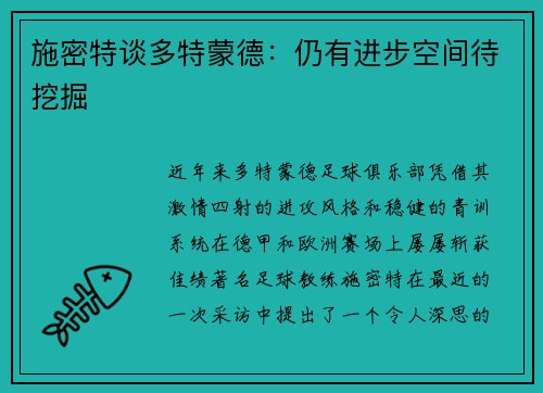 施密特谈多特蒙德：仍有进步空间待挖掘